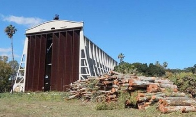 Augusta, taglio degli alberi al Parco dell'Hangar: gli ambientalisti pronti a presentare un nuovo esposto in Procura
