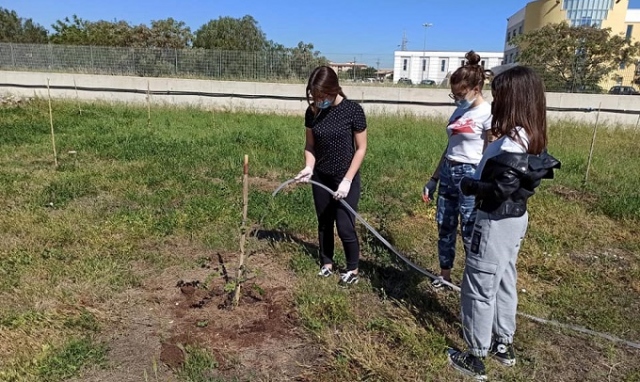 Siracusa, impianto di irrigazione per il Boschetto dell'Einaudi
