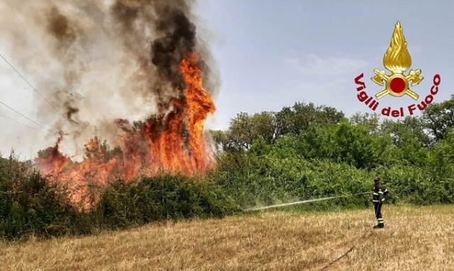 Siracusa, nuovo incendio alla Riserva del Ciane