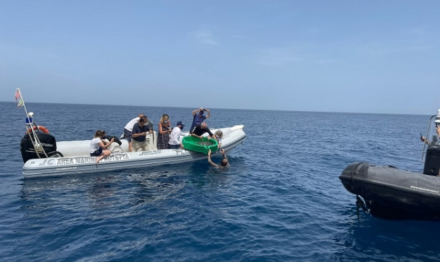 Siracusa, i 90 anni di Maiorca: liberata nel mare del Plemmirio la tartaruga Enzo