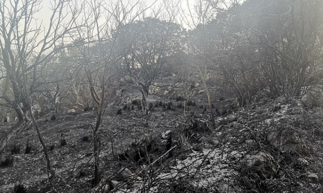 Buscemi assediata dal fuoco, il sindaco La Pira: "Chiederemo lo stato di calamità"