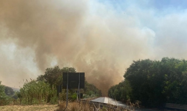 Emergenza incendi, Granata: "Indagini accurate su chi ha interesse a incendiare"