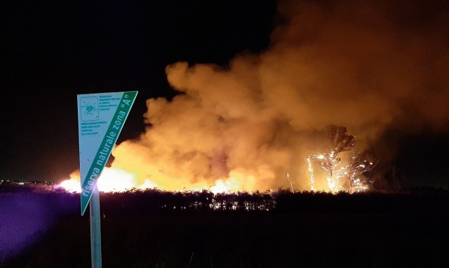 Siracusa, emergenza incendi: Italia Nostra "Si potenzino le risorse operative e investigative"