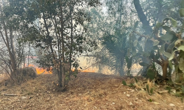 Siracusa, il fuoco nel Parco archeologico della Neapolis: viale Paolo Orsi chiuso in entrata